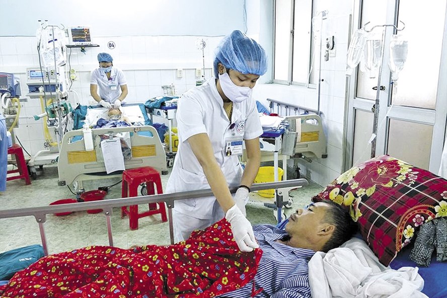 Trường hợp ông L.D.P, 50 tuổi được cấp cứu do ngộ độc mật cá.